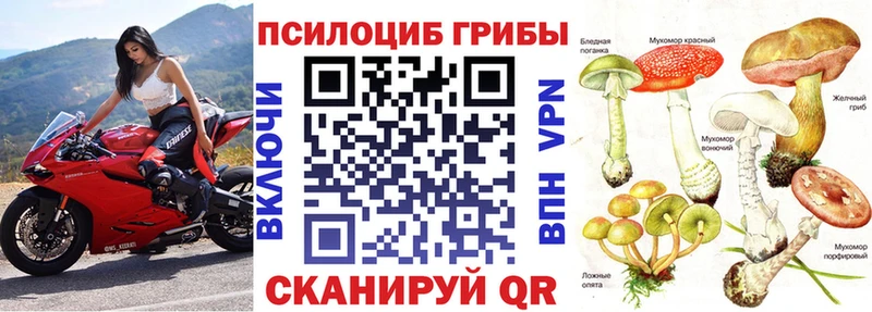 Псилоцибиновые грибы GOLDEN TEACHER  Артёмовский 